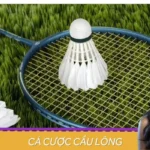 Thắng Đậm Cá Cược Cầu Lông: Chiến Lược Bậc Thầy Từ WIN456
