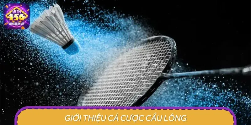 Tổng quan về sân chơi cá cược cầu lông