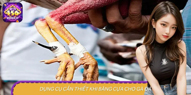 Cần chuẩn bị đầy đủ dụng cụ trước khi thực hiện cách băng cựa gà