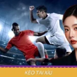 Kèo Tài Xỉu - Hình Thức Cá Độ Bóng Đá Đỉnh Cao Nhất WIN456