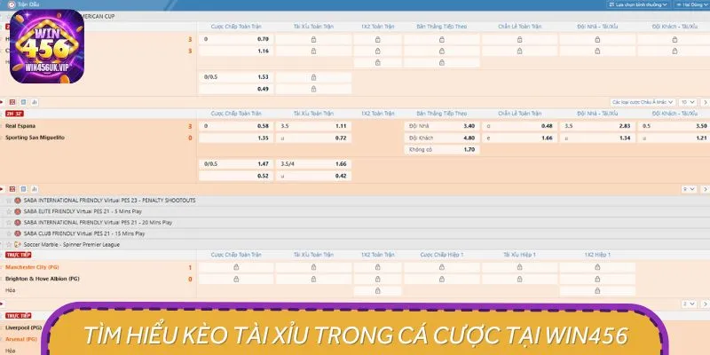 Tìm hiểu kèo tài xỉu trong cá cược tại WIN456