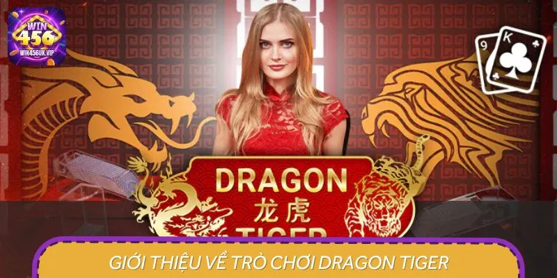 Thông tin giới thiệu tổng quan về trò chơi Dragon Tiger