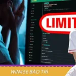 WIN456 Bảo Trì - 5 Phút Đọc, Yên Tâm Cá Cược Cả Năm